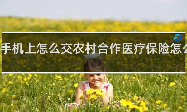 手机上怎么交农村合作医疗保险怎么查询