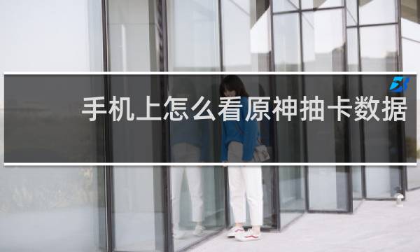 手机上怎么看原神抽卡数据