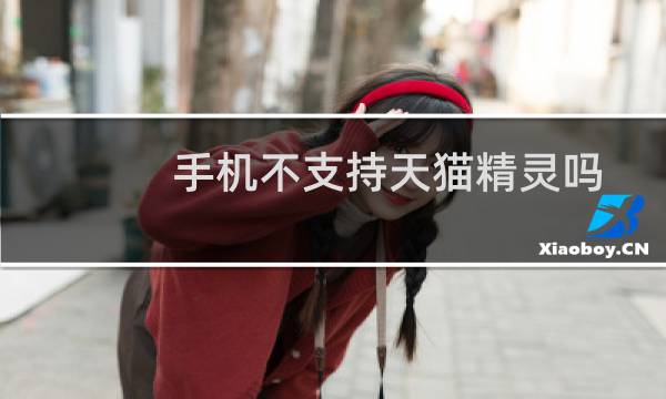 手机不支持天猫精灵吗