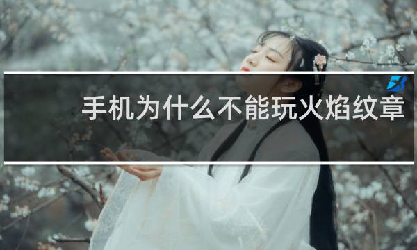 手机为什么不能玩火焰纹章