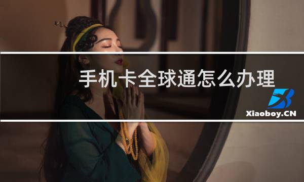 手机卡全球通怎么办理