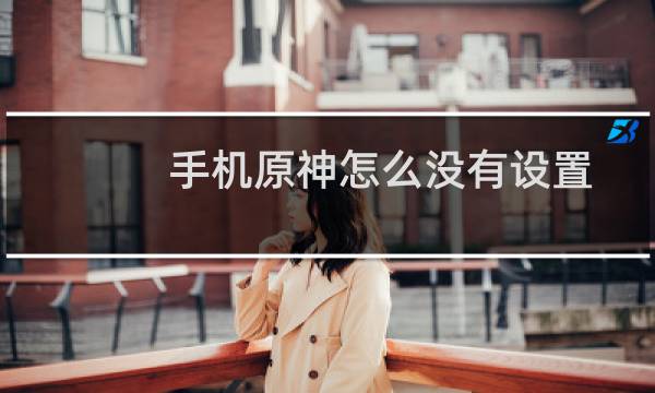 手机原神怎么没有设置