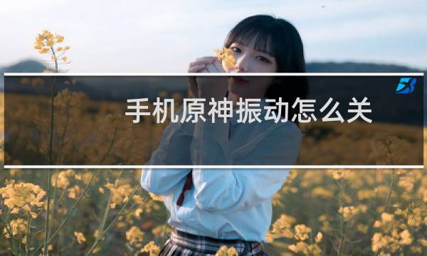 手机原神振动怎么关