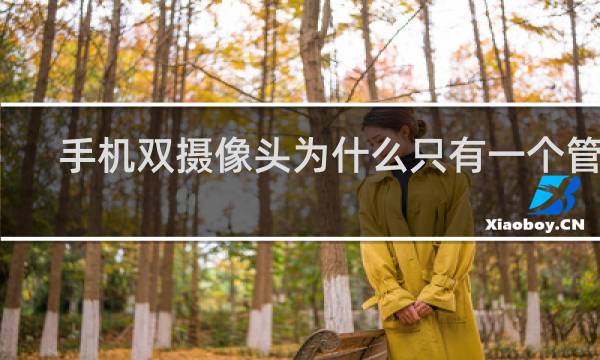 手机双摄像头为什么只有一个管用