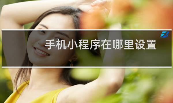 手机小程序在哪里设置