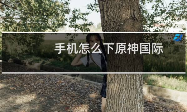 手机怎么下原神国际