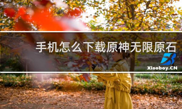 手机怎么下载原神无限原石