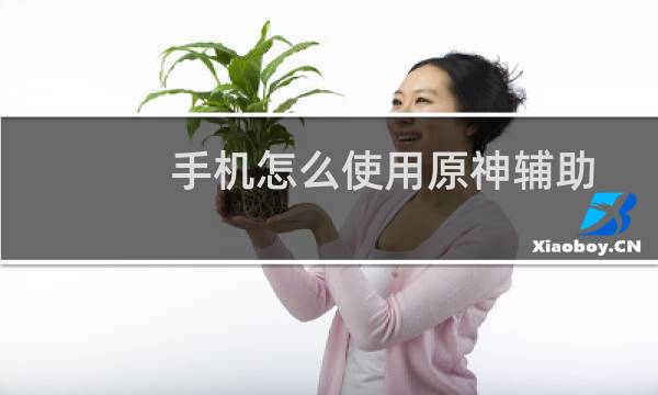 手机怎么使用原神辅助