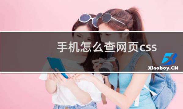 手机怎么查网页css