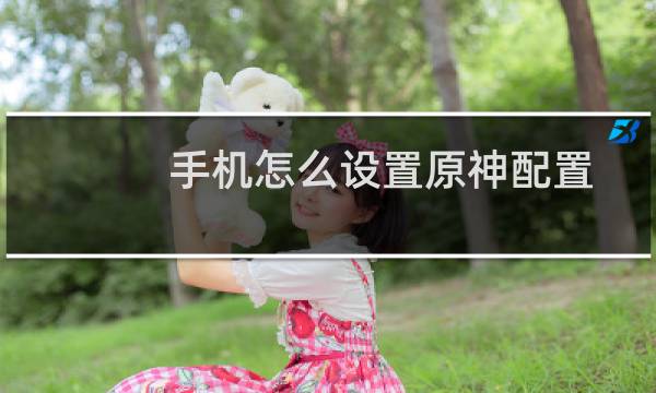 手机怎么设置原神配置