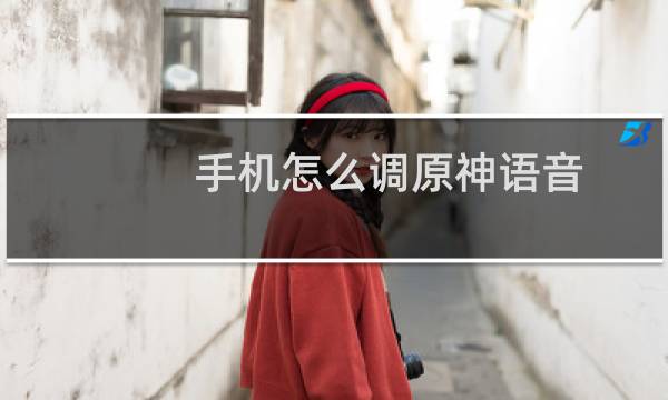 手机怎么调原神语音