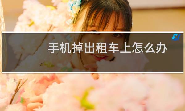 手机掉出租车上怎么办
