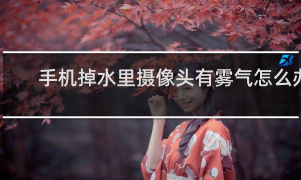 手机掉水里摄像头有雾气怎么办