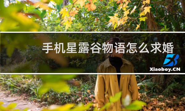 手机星露谷物语怎么求婚