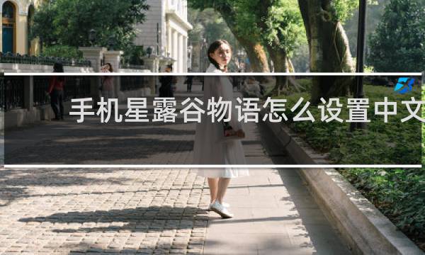 手机星露谷物语怎么设置中文