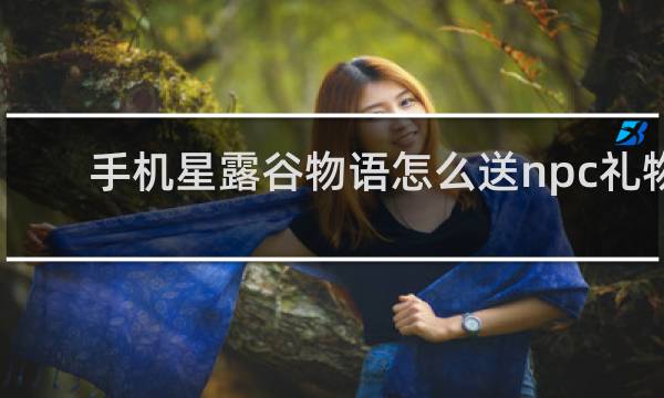 手机星露谷物语怎么送npc礼物