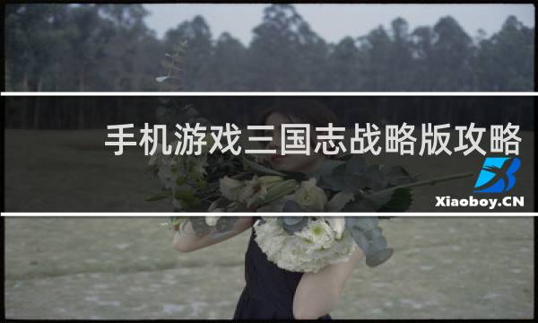 手机游戏三国志战略版攻略