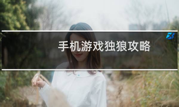 手机游戏独狼攻略