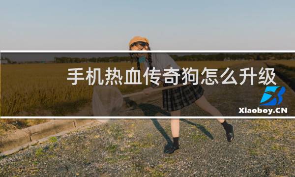 手机热血传奇狗怎么升级
