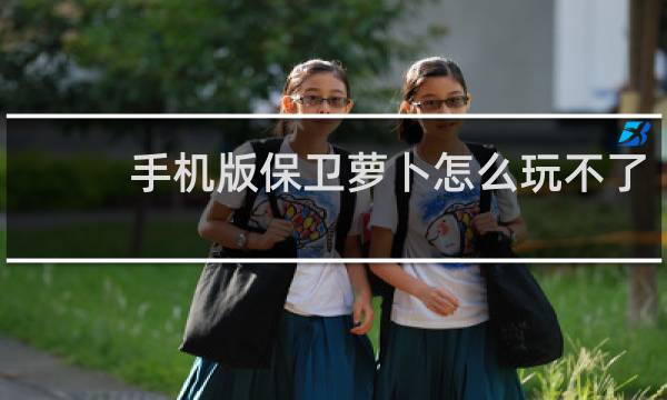 手机版保卫萝卜怎么玩不了