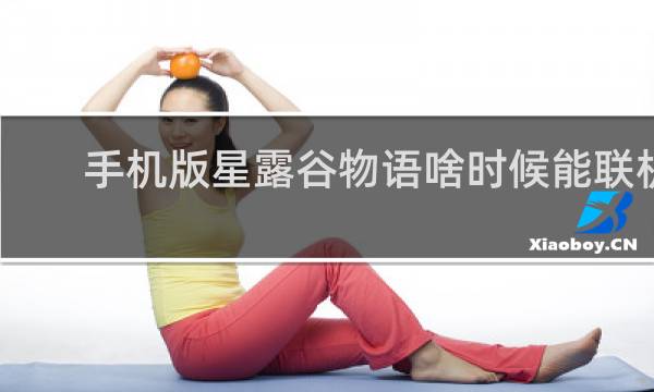 手机版星露谷物语啥时候能联机