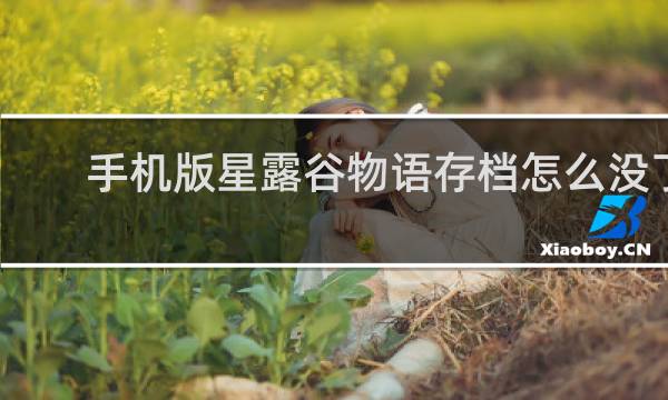 手机版星露谷物语存档怎么没了