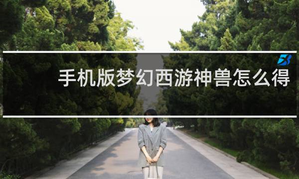 手机版梦幻西游神兽怎么得