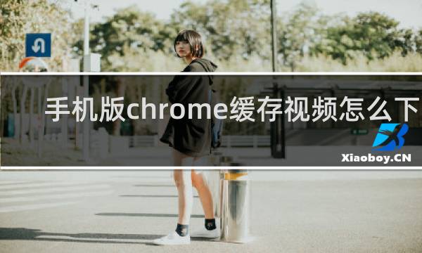 手机版chrome缓存视频怎么下载