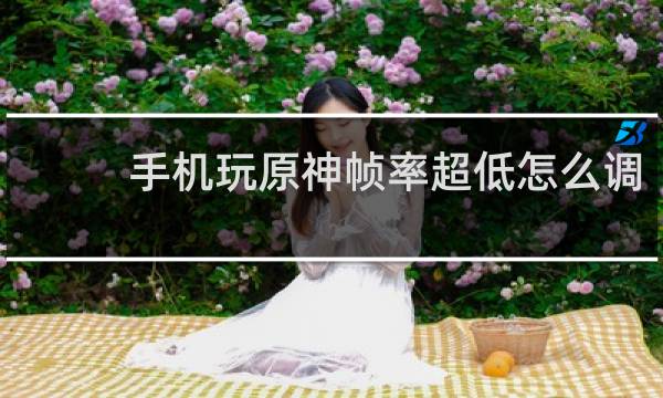 手机玩原神帧率超低怎么调