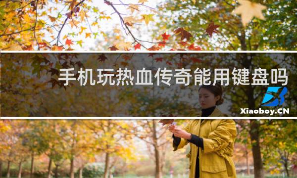 手机玩热血传奇能用键盘吗
