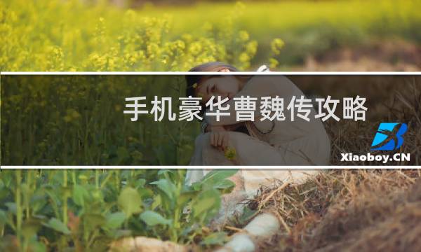 手机豪华曹魏传攻略