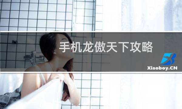 手机龙傲天下攻略