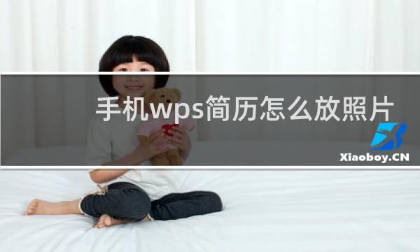手机wps简历怎么放照片