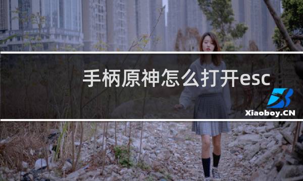 手柄原神怎么打开esc