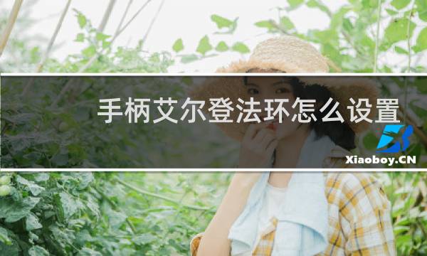 手柄艾尔登法环怎么设置