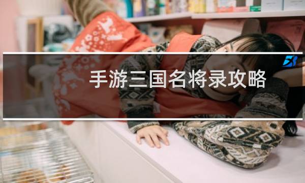 手游三国名将录攻略