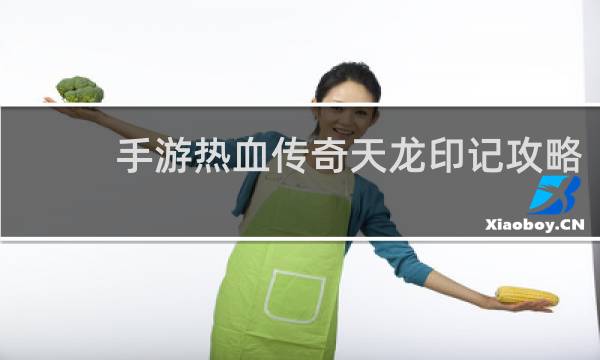 手游热血传奇天龙印记攻略