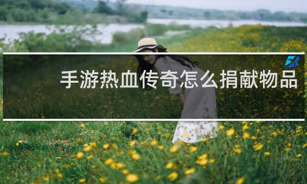 手游热血传奇怎么捐献物品