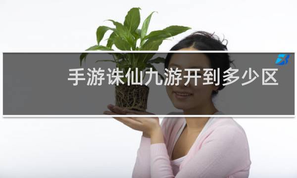 手游诛仙九游开到多少区