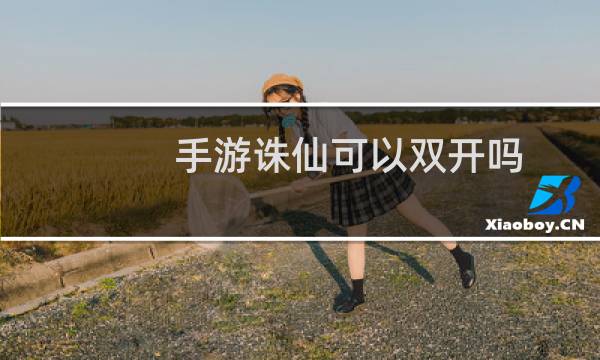 手游诛仙可以双开吗