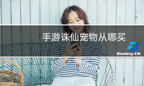 手游诛仙宠物从哪买
