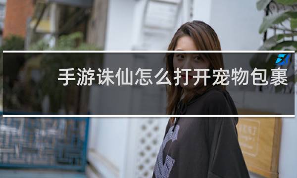手游诛仙怎么打开宠物包裹