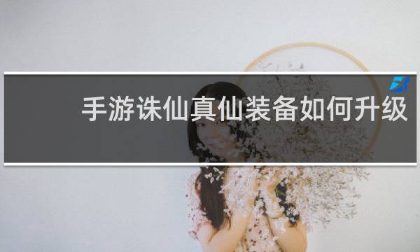 手游诛仙真仙装备如何升级