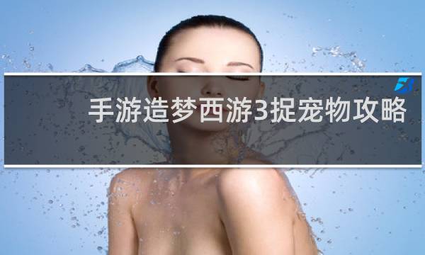 手游造梦西游3捉宠物攻略