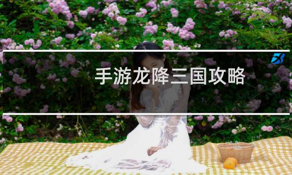 手游龙降三国攻略