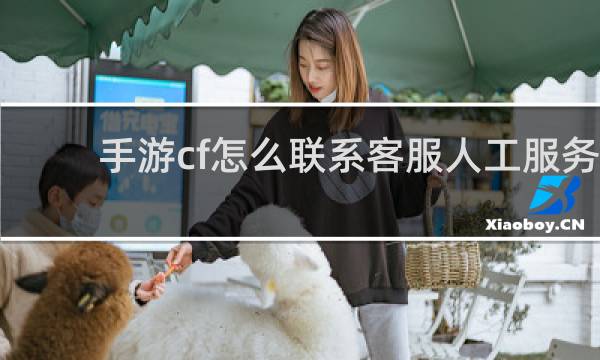 手游cf怎么联系客服人工服务
