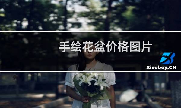 手绘花盆价格图片
