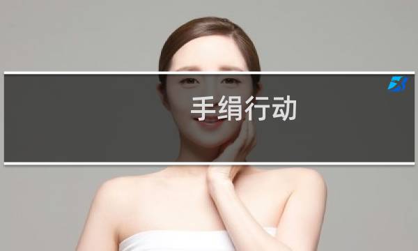手绢行动 攻略