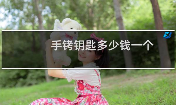 手铐钥匙多少钱一个