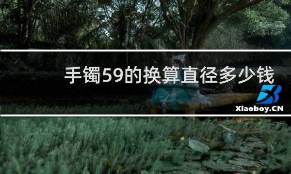 手镯59的换算直径多少钱